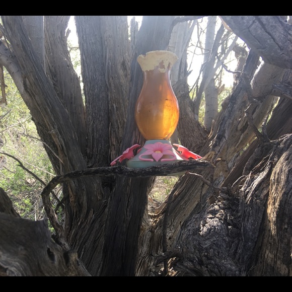 Meet your Posher, Cathy - Picture 1 of 1